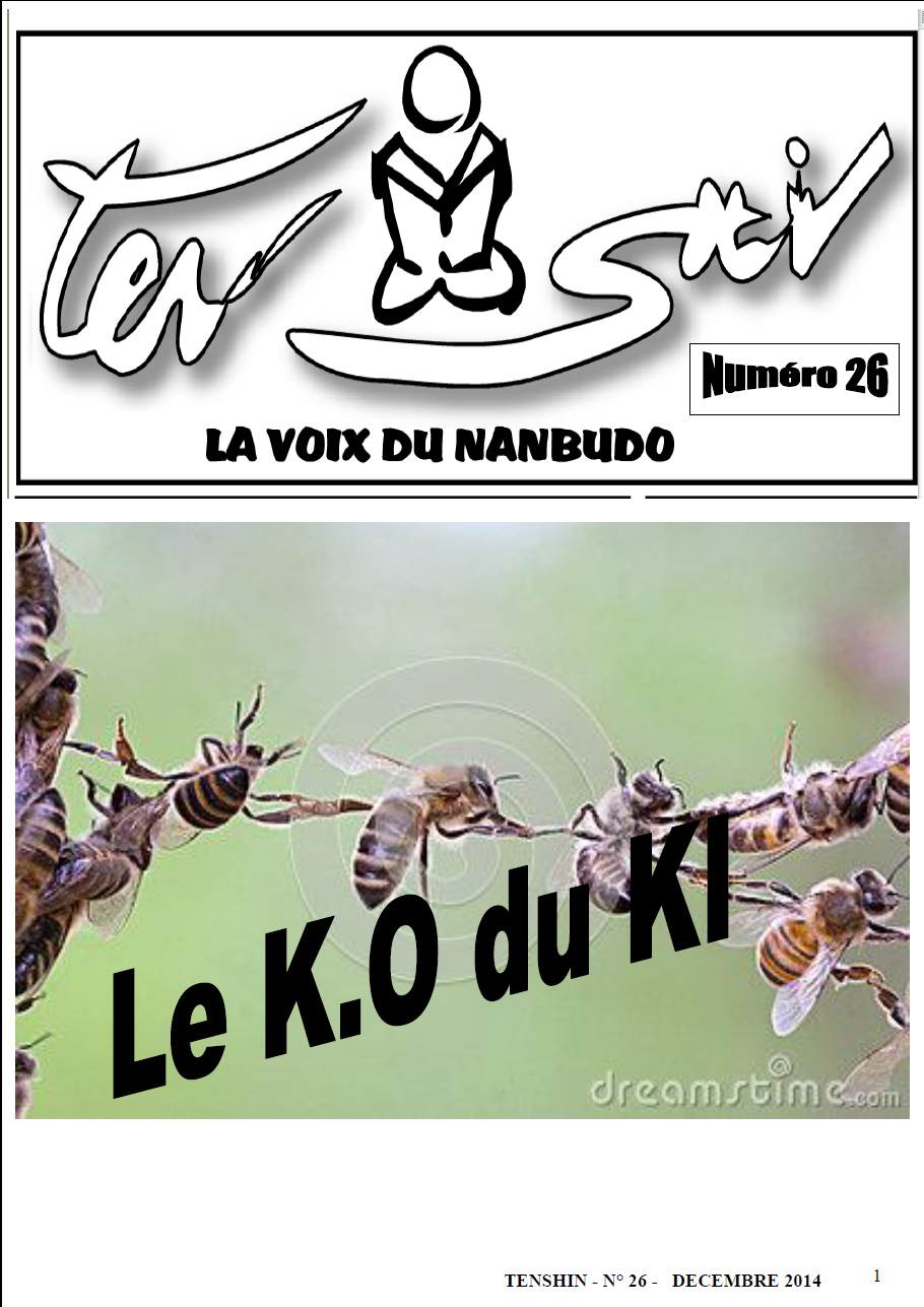 Tenshin n°26 : Le KO du KI