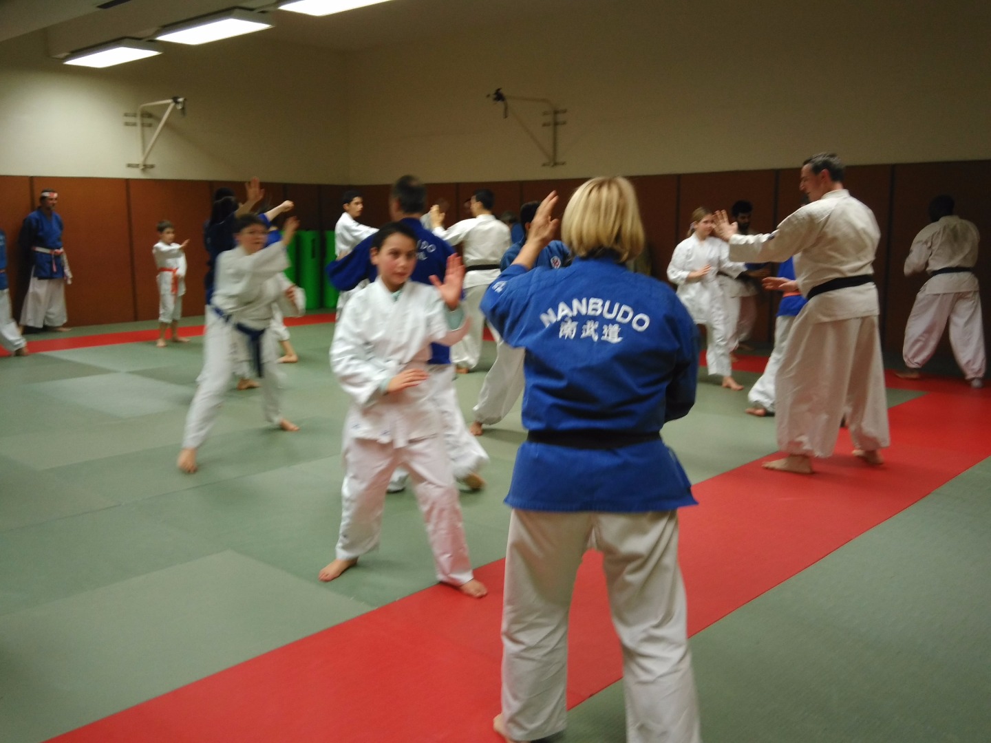Stage Ile de France avec Dai Shihan Stéphane Carel