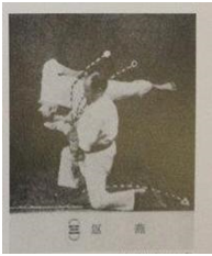Les petites pierres de Dai Shihan II : le Nanbudo, déjà 40 ans !