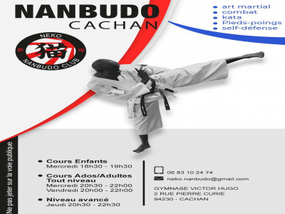 Flyer Nanbudo